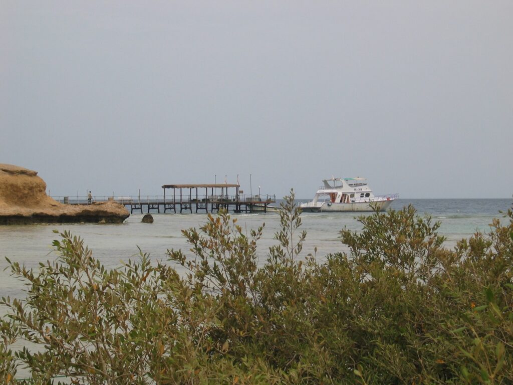 Der Steg am Mangrove
